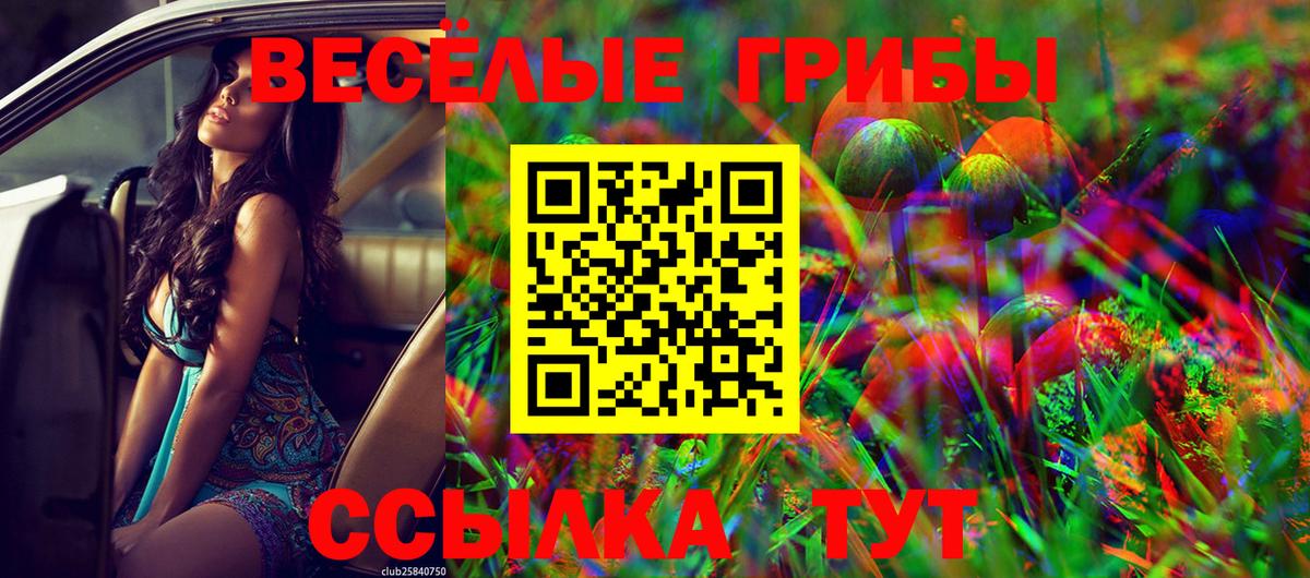 Галлюциногенные грибы мицелий  Псилоцибиновые грибы Psilocybe  Вход с VPN  цены   Краснознаменск 